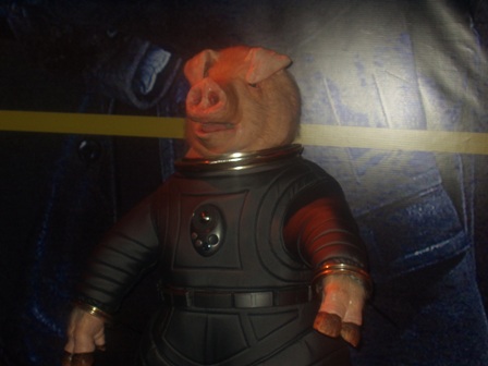 And one (cute?) pig