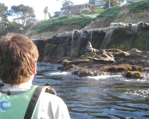 2. Kayaking amongst the tiger sharks and sea lions in San Diego