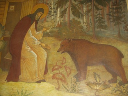 A man feeds a bear garlic bread