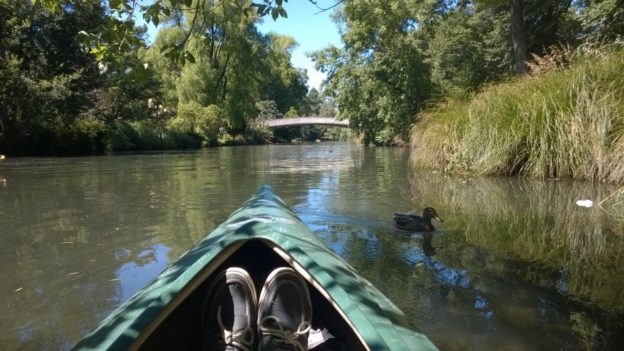 Kayaking down the river