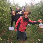 I choreographed this photo (instead of picking any apples)