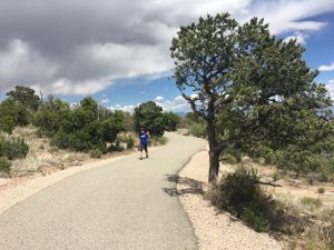 New Mexico: one of my favourite trips this year