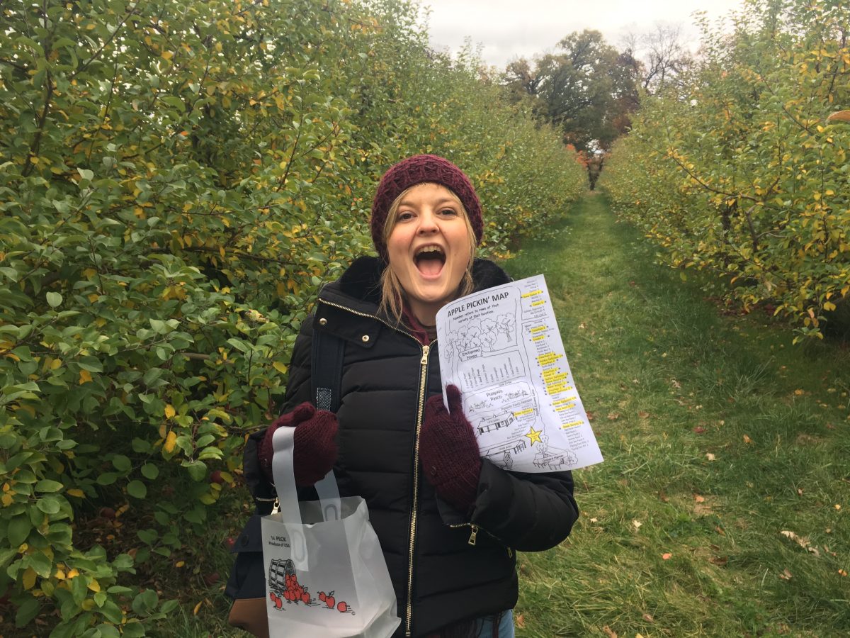 It's apple picking time!