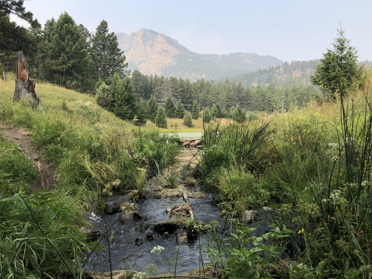 Luscious landscapes at Beaver Ponds...