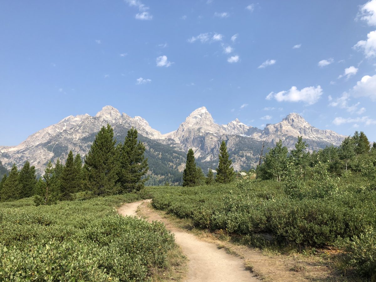 On the Taggart Lake-Bradley Lake Loop