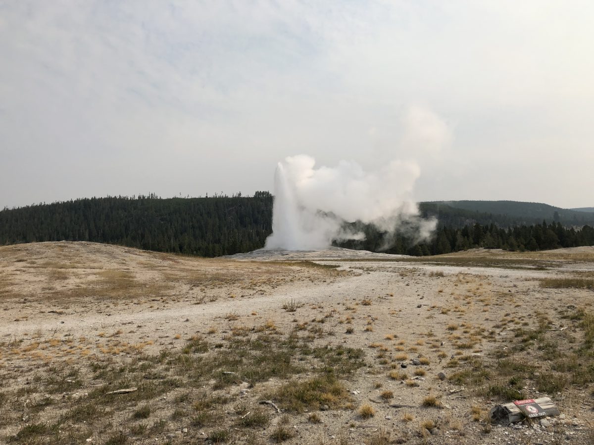 Token Old Faithful photo