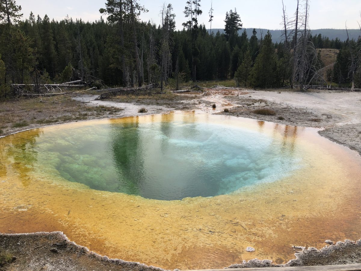 Morning Glory Pool