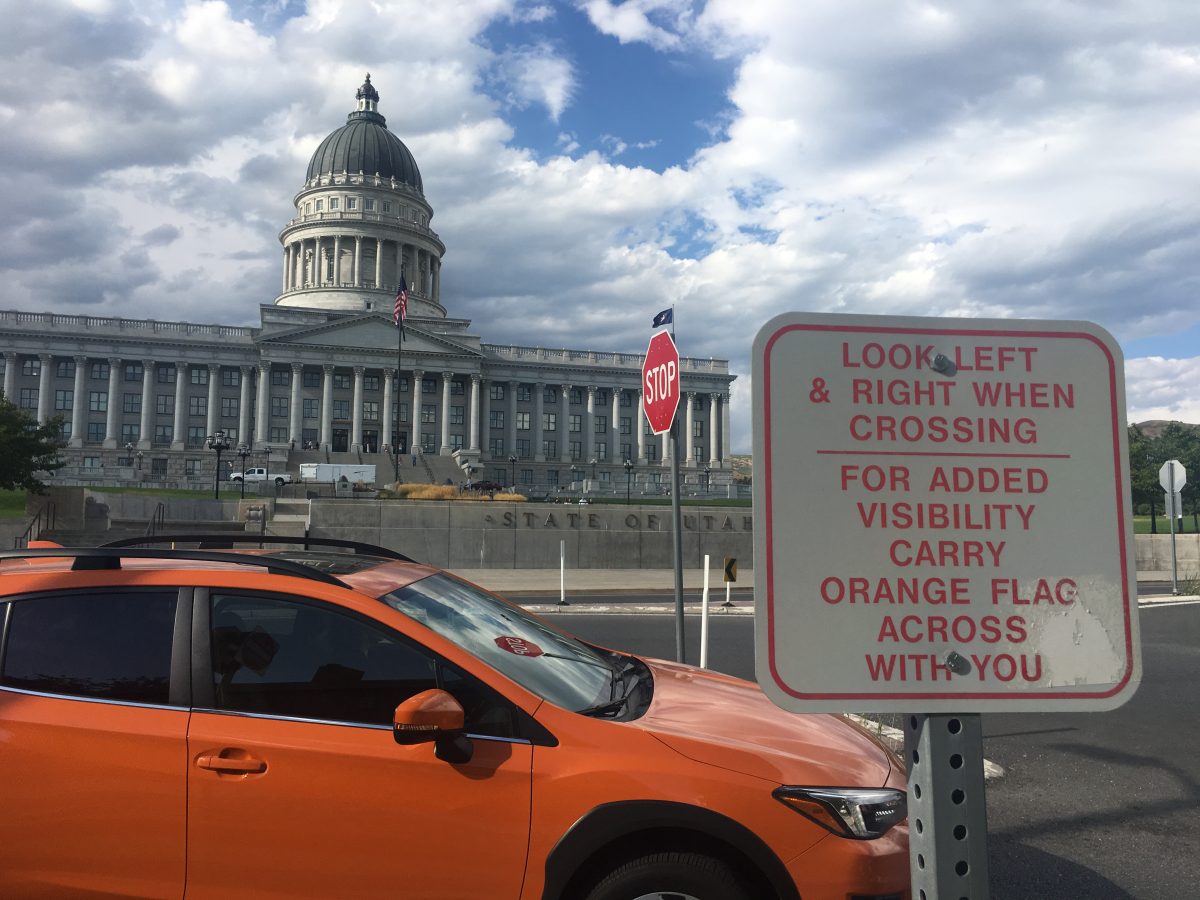 Something about carrying an orange flag to cross the road really amuses me