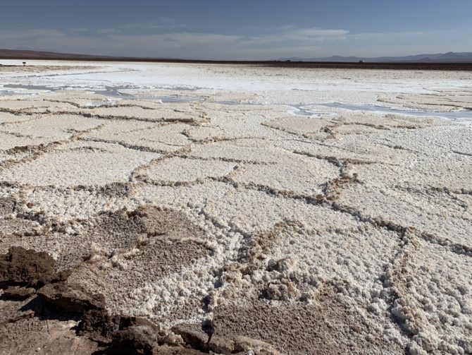 A snapshot of the salty, alien landscape