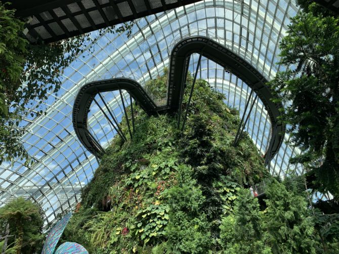 Cloud Forest, which we came back and visited the next morning