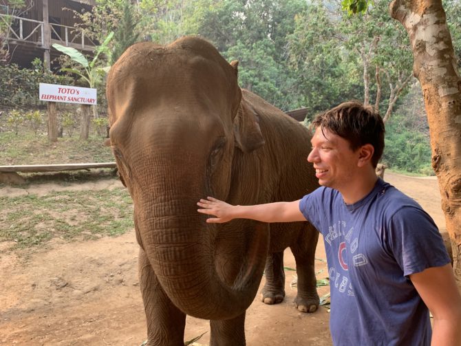 Tentatively stroking the tough elephant hide