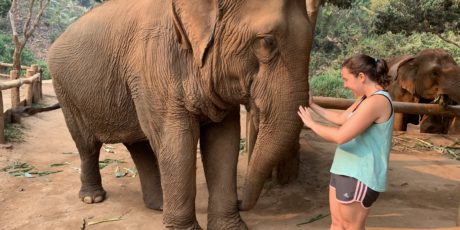 Chiang Mai: The One With The Elephants