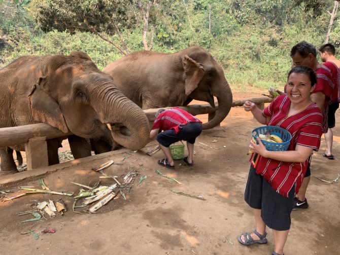 Feeding the elephants