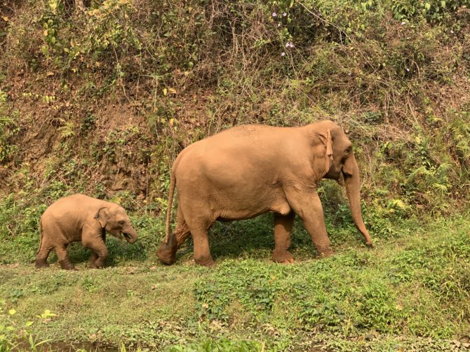 Mother and daughter