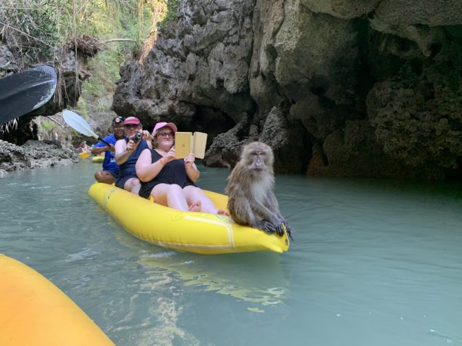 A monkey hitchhiked between multiple boats in search of food