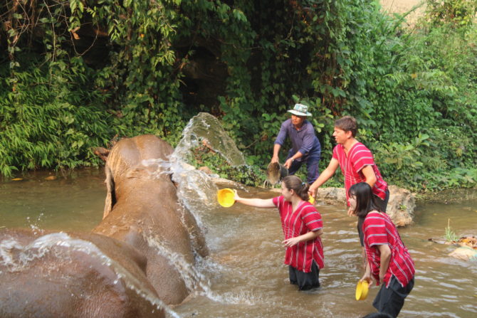 Bathing the elephants (until it descended into an all-out waterfight between the humans)