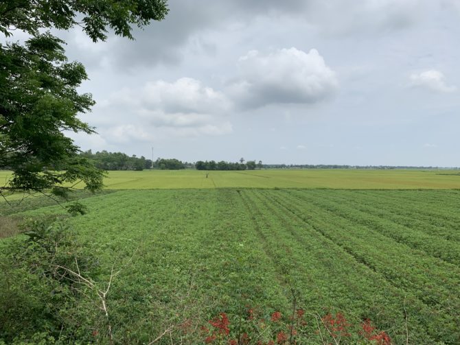 We rode past lots of scenery like this, sometimes with warnings not to fall into the farmer's crops