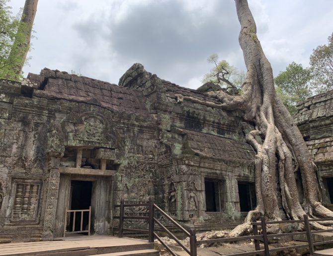 A growing tree envelops part of the building