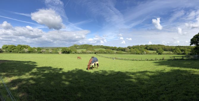 Bucolic fields (Pano credit: Randi)