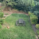 Meet Scratchy. He spends a lot of time in our garden.