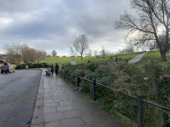 Blythe Hill's Christmas tree graveyard