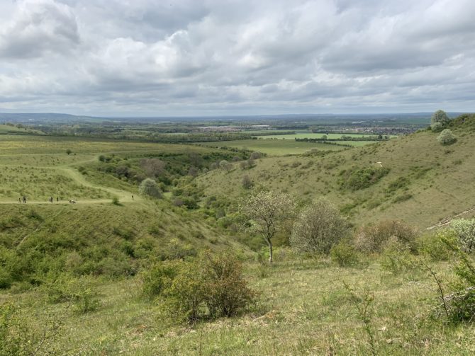 Lots of green on the Ivinghoe Beacon walk