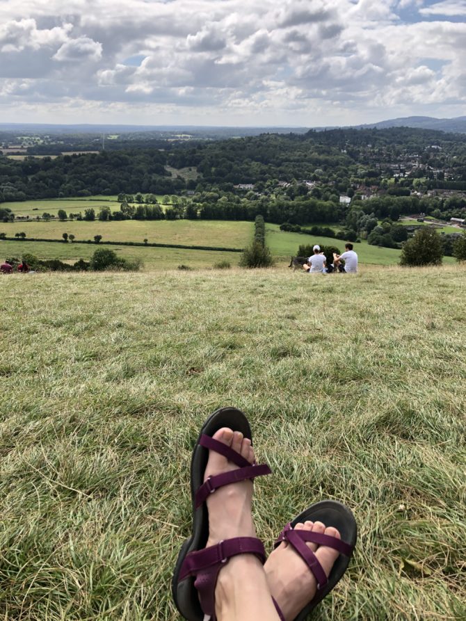 The view from the Box Hill viewpoint