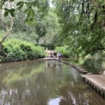 Stepping stones across the river