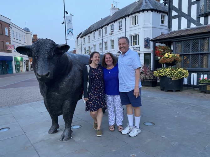 Fans of the Hereford cow