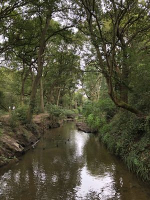 This is Beverley Brook, Peter Grant's girlfriend, from Capital Ring Section 6 and/or Rivers of London