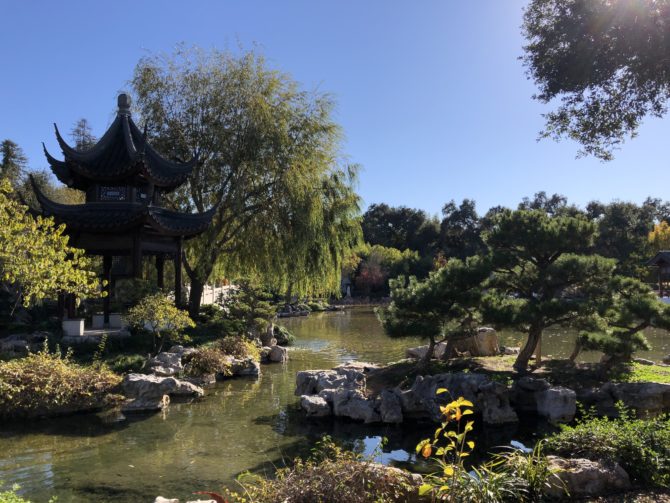 Japanese garden at The Huntington
