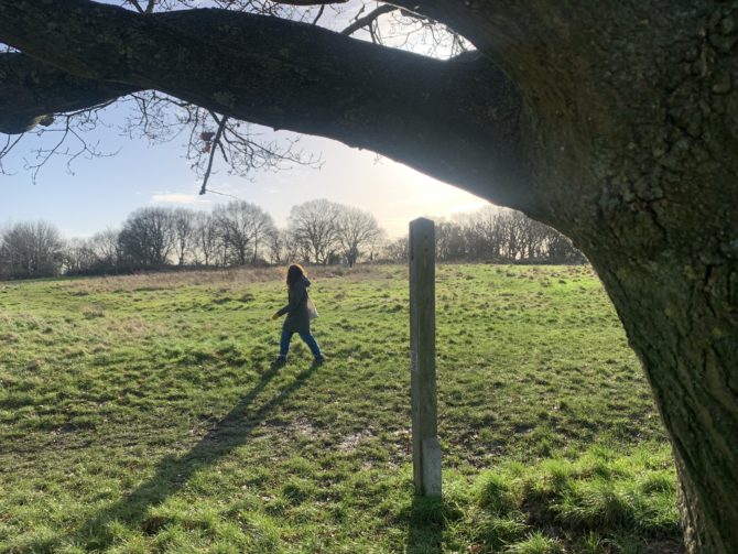 Striding across Horsenden Hill a week later