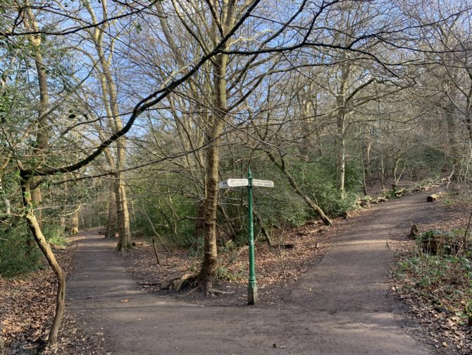 Queen's Wood in Highgate