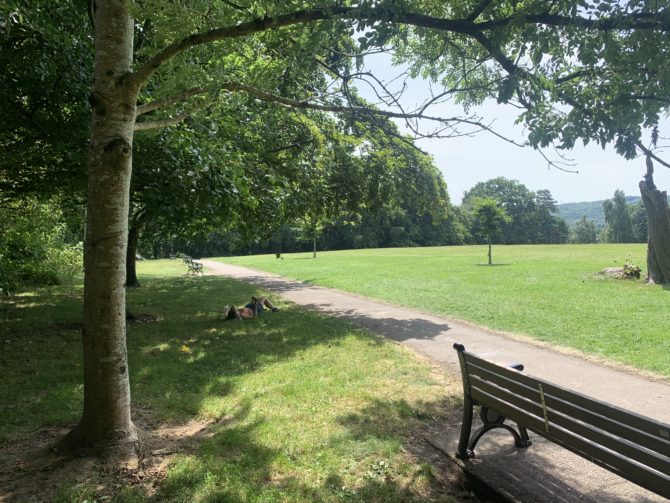 Settling down to read in Thompson's Park