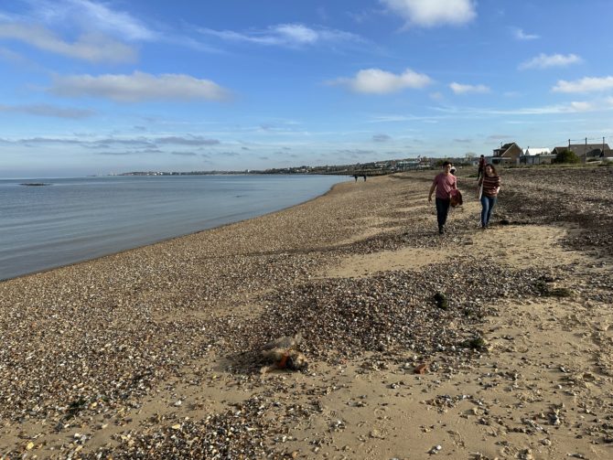 Our morning walk along the beach with Hilda