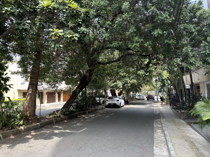 The green, green streets of Laureles