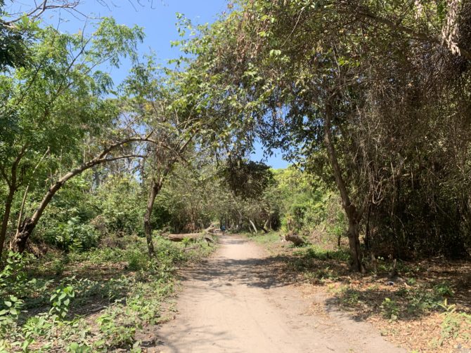 Quiet, calming trails across the island (assuming no snakes)