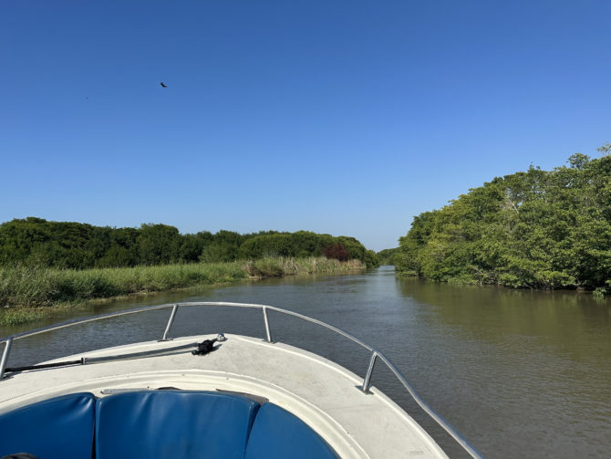 Entering a river on the start of our very welcome speedboat detour