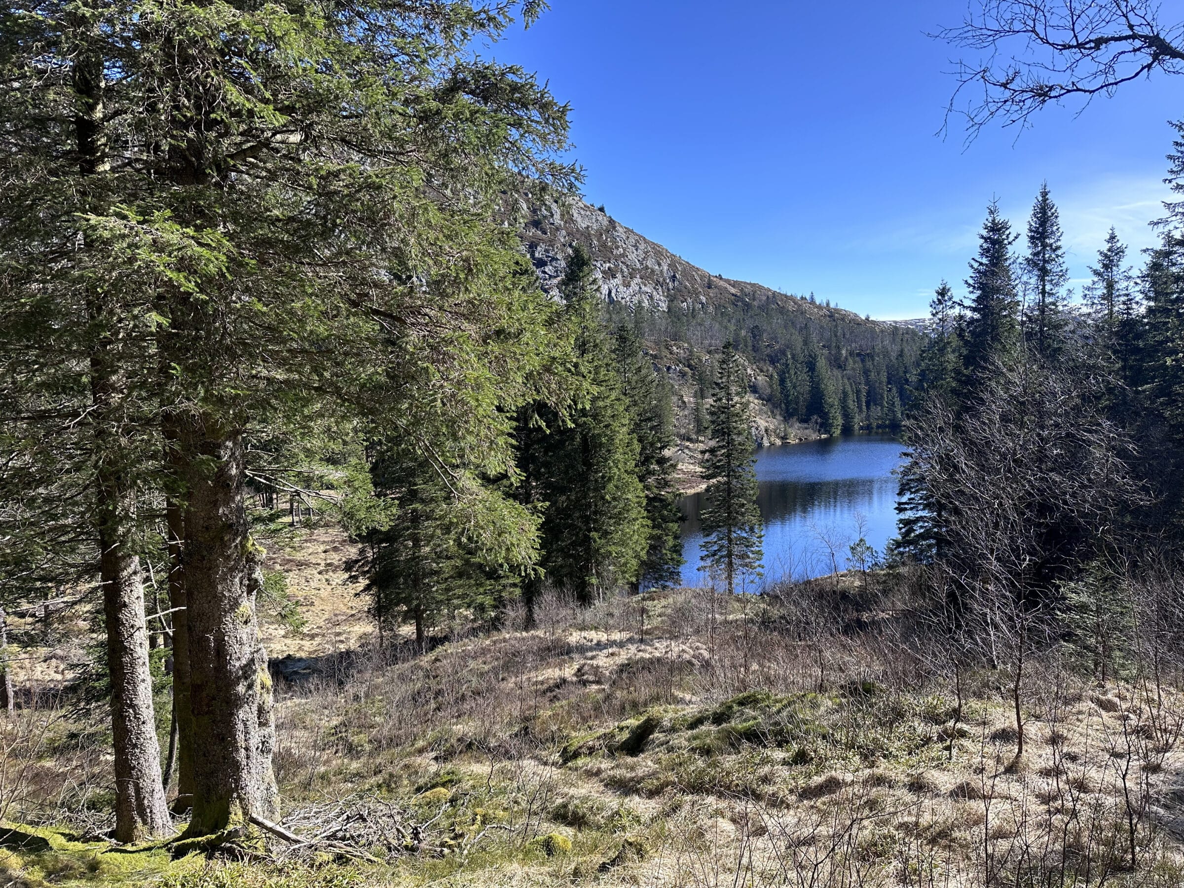 Stunning scenery on our final walk around a lake