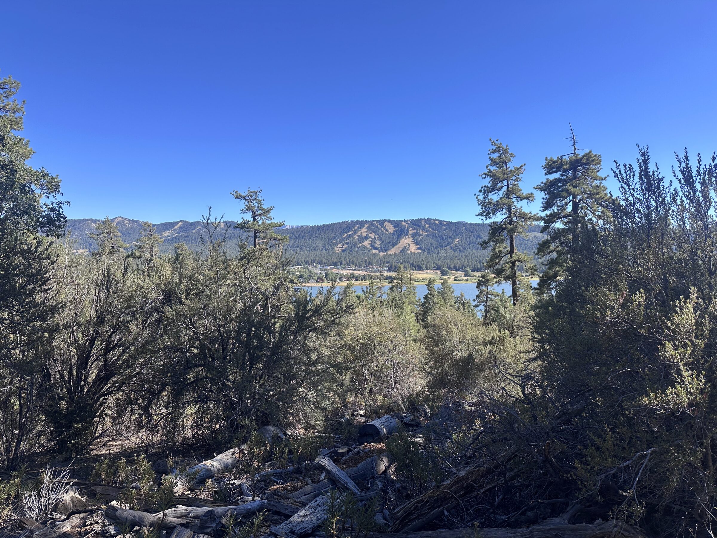 A glimpse of the lake from the hiking trail